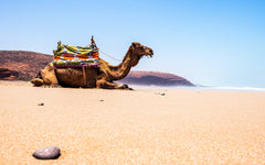 فن فوتوغرافي، فن التصوير، طبيعة المغرب، لوحة فنية، من الصورة إلى لوحة فنية
Photographie artistique, Paysages marocains, Art visuel Maroc, Photographe professionnel Maroc, Tableaux décoratif, Photographies Transformées en Œuvres d'Art, Tableaux Photographiques, L'Art de la Photographie en Tableau, Images Élevées au Rang de Tableau, Maroc, Morocco, De la Photo au Tableaux, décoration intérieur