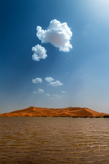 فن فوتوغرافي، فن التصوير، طبيعة المغرب، لوحة فنية، من الصورة إلى لوحة فنية
Photographie artistique, Paysages marocains, Art visuel Maroc, Photographe professionnel Maroc, Tableaux décoratif, Photographies Transformées en Œuvres d'Art, Tableaux Photographiques, L'Art de la Photographie en Tableau, Images Élevées au Rang de Tableau, Maroc, Morocco, De la Photo au Tableaux, décoration intérieur