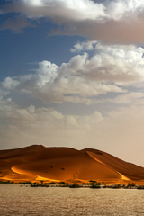 فن فوتوغرافي، فن التصوير، طبيعة المغرب، لوحة فنية، من الصورة إلى لوحة فنية
Photographie artistique, Paysages marocains, Art visuel Maroc, Photographe professionnel Maroc, Tableaux décoratif, Photographies Transformées en Œuvres d'Art, Tableaux Photographiques, L'Art de la Photographie en Tableau, Images Élevées au Rang de Tableau, Maroc, Morocco, De la Photo au Tableaux, décoration intérieur