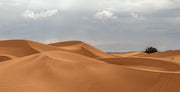 فن فوتوغرافي، فن التصوير، طبيعة المغرب، لوحة فنية، من الصورة إلى لوحة فنية
Photographie artistique, Paysages marocains, Art visuel Maroc, Photographe professionnel Maroc, Tableaux décoratif, Photographies Transformées en Œuvres d'Art, Tableaux Photographiques, L'Art de la Photographie en Tableau, Images Élevées au Rang de Tableau, Maroc, Morocco, De la Photo au Tableaux, décoration intérieur