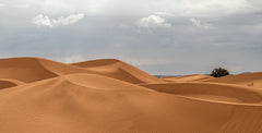 فن فوتوغرافي، فن التصوير، طبيعة المغرب، لوحة فنية، من الصورة إلى لوحة فنية
Photographie artistique, Paysages marocains, Art visuel Maroc, Photographe professionnel Maroc, Tableaux décoratif, Photographies Transformées en Œuvres d'Art, Tableaux Photographiques, L'Art de la Photographie en Tableau, Images Élevées au Rang de Tableau, Maroc, Morocco, De la Photo au Tableaux, décoration intérieur