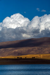 Ombres et lumière en majesté