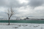 Le Lac Serein et l'Arbre Majestueux