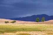 فن فوتوغرافي، فن التصوير، طبيعة المغرب، لوحة فنية، من الصورة إلى لوحة فنية
Photographie artistique, Paysages marocains, Art visuel Maroc, Photographe professionnel Maroc, Tableaux décoratif, Photographies Transformées en Œuvres d'Art, Tableaux Photographiques, L'Art de la Photographie en Tableau, Images Élevées au Rang de Tableau, Maroc, Morocco, De la Photo au Tableaux, décoration intérieur