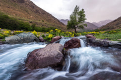 Contraste Naturel dans le Paysage