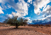 Paysages marocains en tableau d'art, Photographies de dunes et oasis en décoration, Tableaux d'art inspirés du Maroc, Décoration avec photos de sites marocains emblématiques, Tableaux muraux des paysages du Maroc