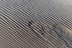 Le Graphisme sur Sable