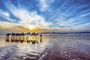 فن فوتوغرافي، فن التصوير، طبيعة المغرب، لوحة فنية، من الصورة إلى لوحة فنية
Photographie artistique, Paysages marocains, Art visuel Maroc, Photographe professionnel Maroc, Tableaux décoratif, Photographies Transformées en Œuvres d'Art, Tableaux Photographiques, L'Art de la Photographie en Tableau, Images Élevées au Rang de Tableau, Maroc, Morocco, De la Photo au Tableaux, décoration intérieur